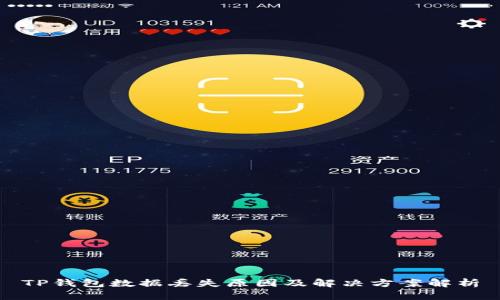 TP钱包数据丢失原因及解决方案解析