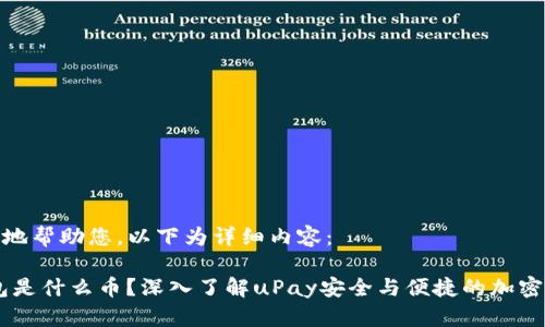 为了更好地帮助您，以下为详细内容：

uPay钱包是什么币？深入了解uPay安全与便捷的加密支付体验