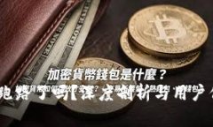  GoPay跑路了吗？深度剖析与用户保护指南
