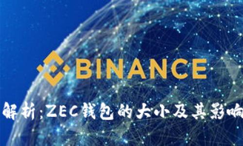 全面解析：ZEC钱包的大小及其影响因素