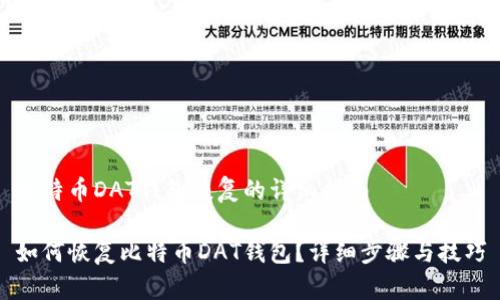 比特币DAT钱包恢复的详细指南

如何恢复比特币DAT钱包？详细步骤与技巧