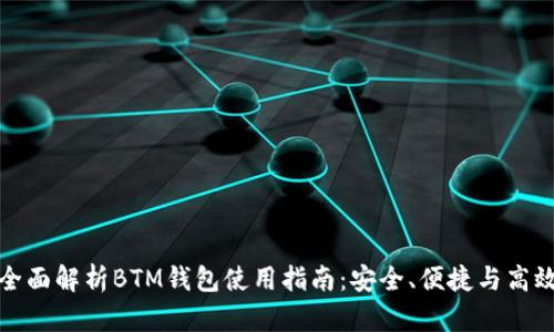 全面解析BTM钱包使用指南：安全、便捷与高效