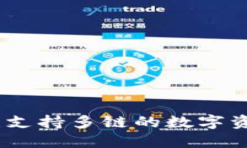 TP钱包详解：支持多链的数字资产管理工具